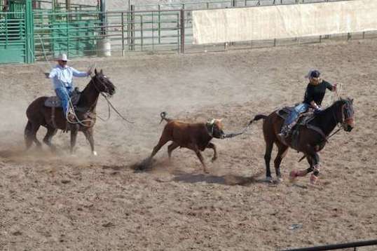 ...and comes up empty. Sure, luck plays a part in these things, but experience and ability greatly shift the odds.