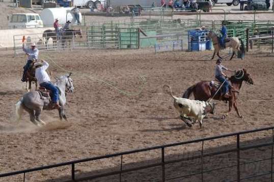 But it was all on one side, and the noose returns to sender with nothing inside.