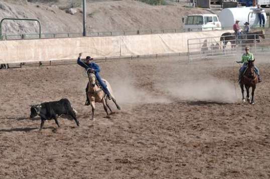 She appears to be dealing with the shock, while he figures he may as well get in some practice.