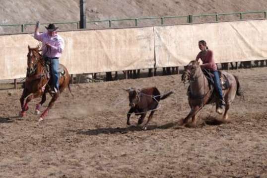 The little gal drops the hammer and the noose looks like it'll go around the steer's neck.