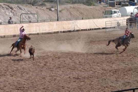 Okay, got the rope going taut again, though how the heeler will deal with this is a mystery to me.
