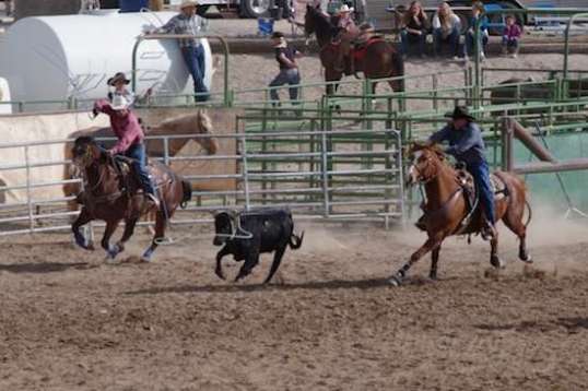 The header rapidly gets his rope out there, and it's looking good.