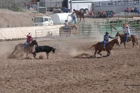 The header applies horsepower - literally - while the heeler's horse goes left to present working access to the steer.