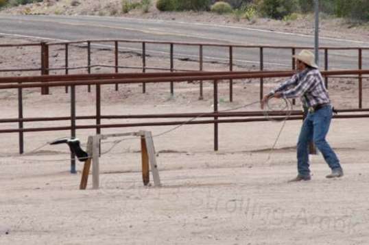 His toss looks good from my vantage point.