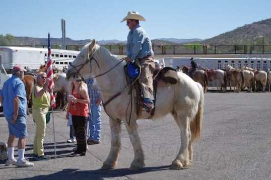 Going for altitude. I wondered if the rider's ears popped as he climbed into the saddle.