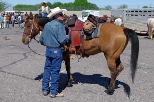 Ready and waiting...