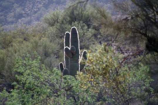 On any walk out here, there's something that will make you stop and look.