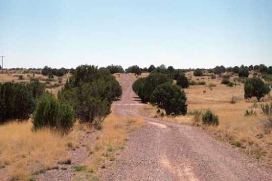 Most of the old highway looks like this. Each low point has a two-lane concrete bridge that allows water to flow under.