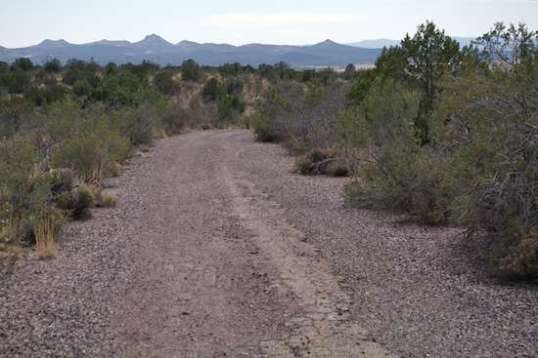 I dropped the trailer and continued on to see if there were any spots closer to the south entry. Notice the vestiges of pavement along the center.