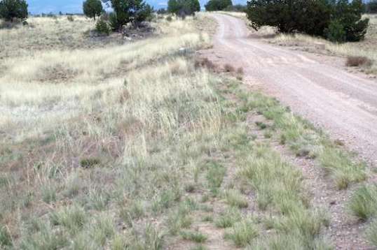 For the quality of roadbed needed for a major highway, this seems like way too much erosion for an area that sees so little rain.