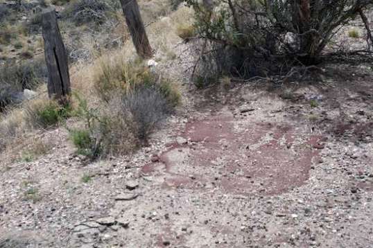 At the south end, the pavement was most pristine and measured 19' across, giving me the feeling that the target was 19', and it probably never went below 18', if it varied at all.