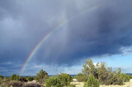 Then it was cloudy the next day and sprinkled rain off and on. Toward the end, a rainbow.  Rainbows are common here, compared to the Midwest.