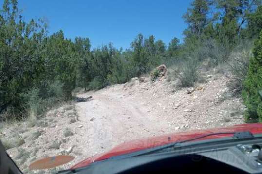 Change your mind or meet another vehicle, and you could have a very long back up to do, especially of their vehicle is as unwieldy as yours on narrow trails.