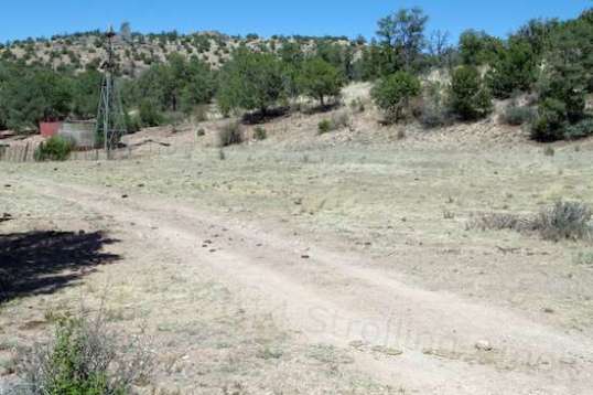 Considering the free-range aspect, some potential camping areas were littered with cowpies, a benefit only if you could burn them in cold weather, to stay warm. A goldmine for someone with a wood stove, I figure.