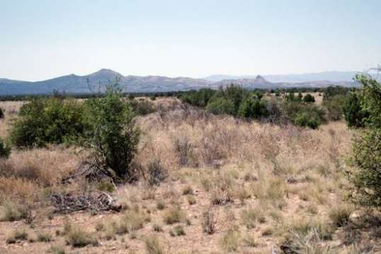 I almost forgot - pointing in a straight line away from that gate is an old abandoned railroad track bed that was used for mining in the earliest days. It heads SE from the gate and is on my GPS as an unnamed road(?) Go figure. The track was removed, and now it's hard to tell it was there. 
