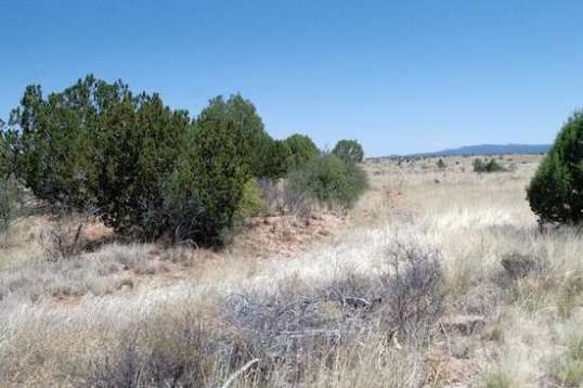 This is the other end as it prepares to cross Old 89, believe it or not. Barely perceptible, the bushes hide the slight rise.