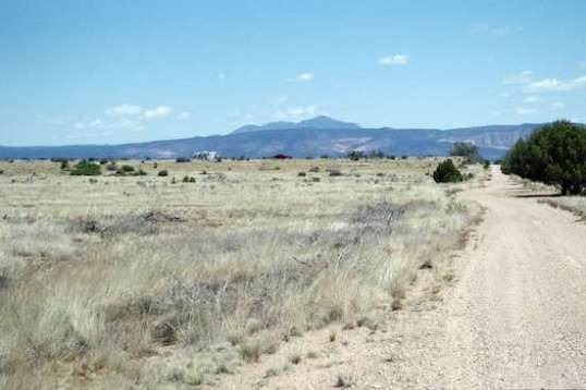 Just out for a walk on Old 89 and heading back to camp, looking north.