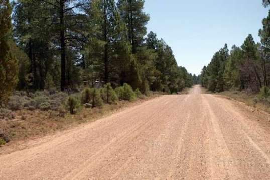 NF 302 approaching camp. I'm pretty well hidden until you're much closer. The road goes on for a very long way.