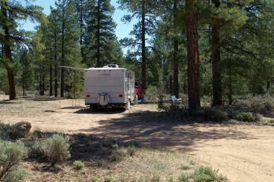 Camp. The tree shade moves along the side of the trailer, so the panels stay in full sun all day.