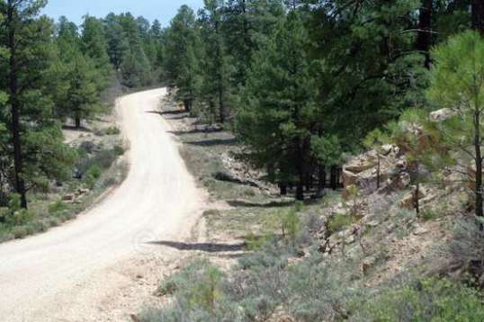 Returning back to camp is no Grand Canyon, but I like it plenty.