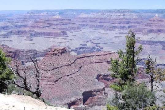 Just looking, in silence.