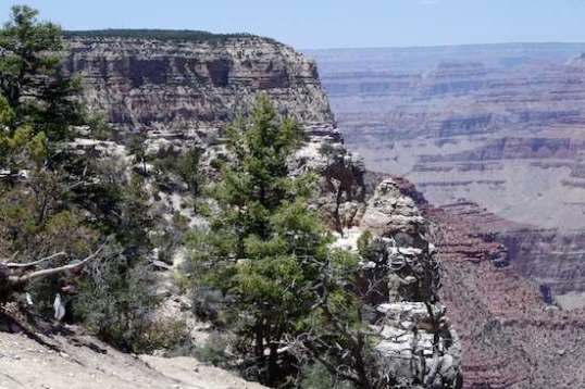 A tentative step and then retreat over in some bushes caught my attention, right near the edge. Bottom left.