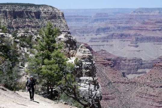 Made it, and slowly padded over and crossed directly in front of me.