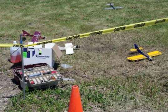 If you're wondering, this is what they look like close-up. These are small ones.