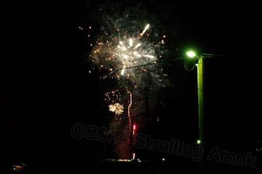 I thought it a pretty good deal to be this close to them without having to go someplace.