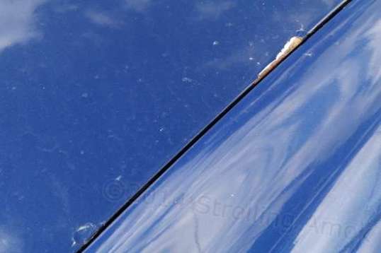 One edge of the hood. The 2010 paint job shows that tedious paint prep is also beyond the reach of many, but if all you want is a runner to have fun in, you just accept this kind of thing and go with it.