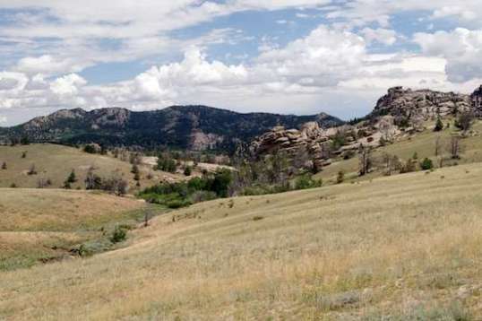 Before you even get to the Vedauwoo entrance, there's plenty to capture the imagination. There are cattle roaming free in this area, but not many.
