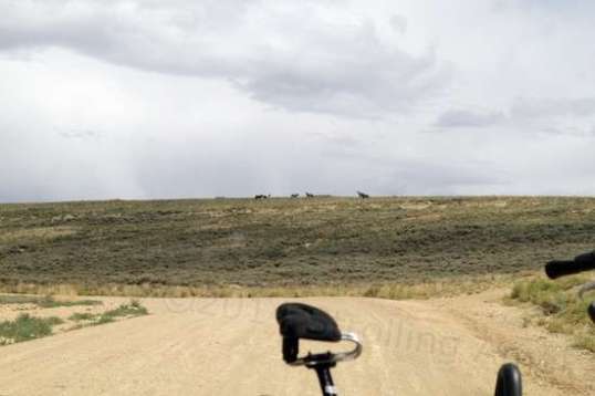 I guess they don't call it Wild Horse Canyon Road for nothin'!