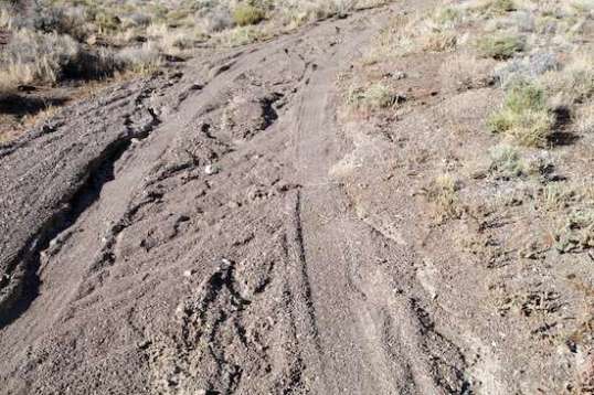 With a steep slope consisting of deep sand, weight on the front tire was so slight that even on the more solid shoulders, steering to stay on a path became useless because there was simply no front traction. The bike stalled in this slop at a peak of about 940 watts. I walked from here, but at least I didn't have to push the bike - a touch of throttle made it push itself up alongside me, albeit with wheelspin.