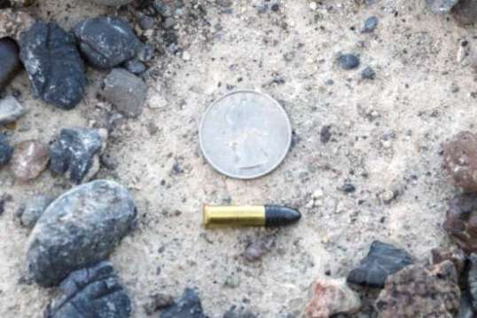 A run of the mill Remington .22 rimfire cartridge. 