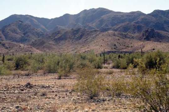 I just liked this rumpled look.