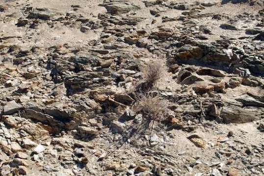 Just a closeup. I like texture.