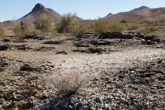 About 3 feet up on one bank is a large scattering of quartz. Quite large pieces were below.