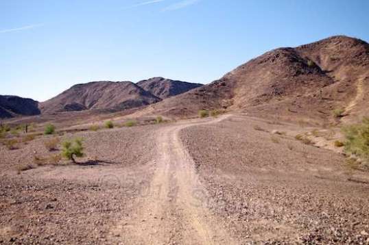 The trail past the cabin looked fun, so...