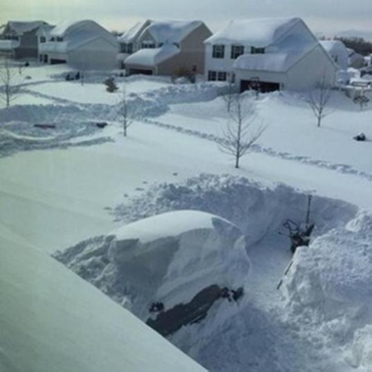 You think you have problems getting to work some mornings?