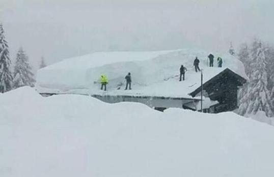 I just stare at this one, trying to comprehend.