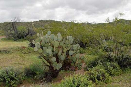 This is beside the trail heading out.