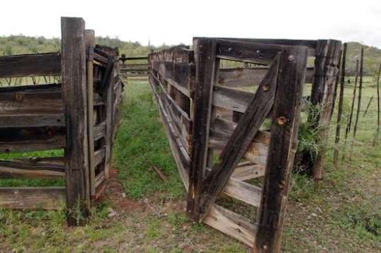 75 years of exposure does things to raw wood.