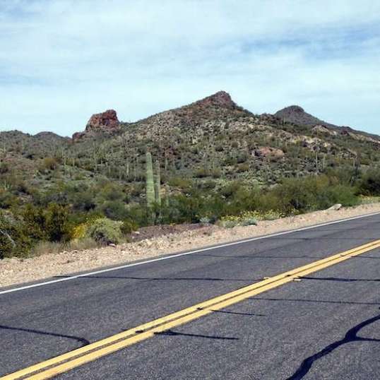 There's actually a ton of cacti spread all over the lower areas.