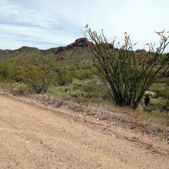 I kept stopping to look, more interested in taking it all in than in trying to capture it in electrons.