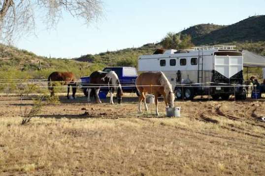 Yep, I was impressed. I assume that fencing tape is electrified.