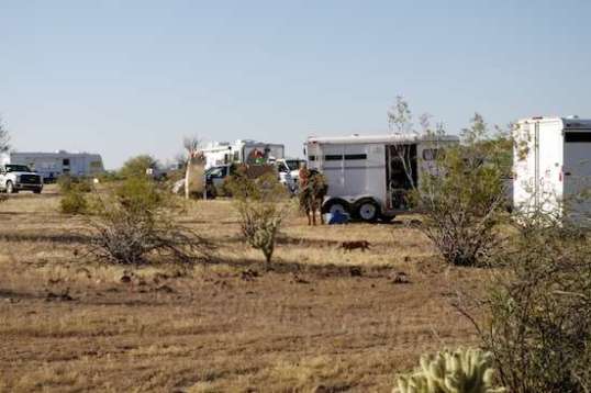 Clip-clop, horse-flop... Suddenly the joint is full of horse trailers!
