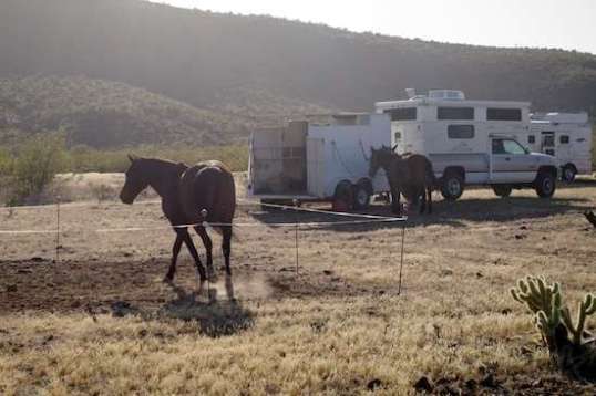 Toldya the sun was getting low!