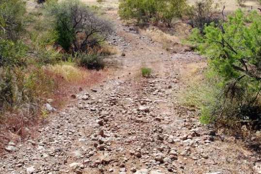 This branch off the main trail got interesting, as the climb up to where I'm shooting from is rocky enough to challenge controlling balance as the front tire bounces this way and that. Made it, though, and without too much difficulty.