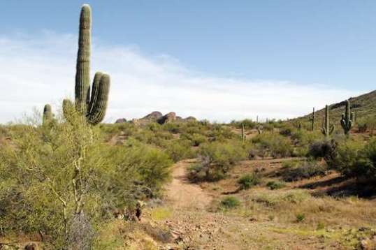 I stopped here when it struck me that I never thought I'd have the opportunity to do this kind of thing or see these kinds of sights. But they're out there, waiting.
