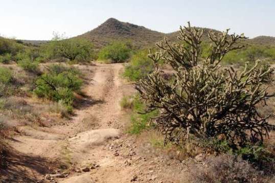 More of the main trail. The lump ahead is a submerged boulder.